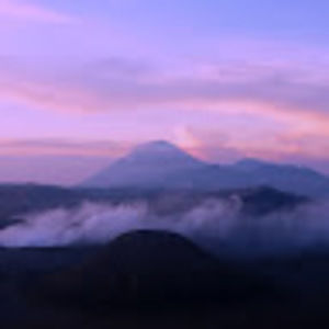 Meet your Posher, Alondra